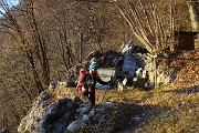 86 Poco sopra il sentiero, in piccola radura soleggiata sotto roccioni, ... 